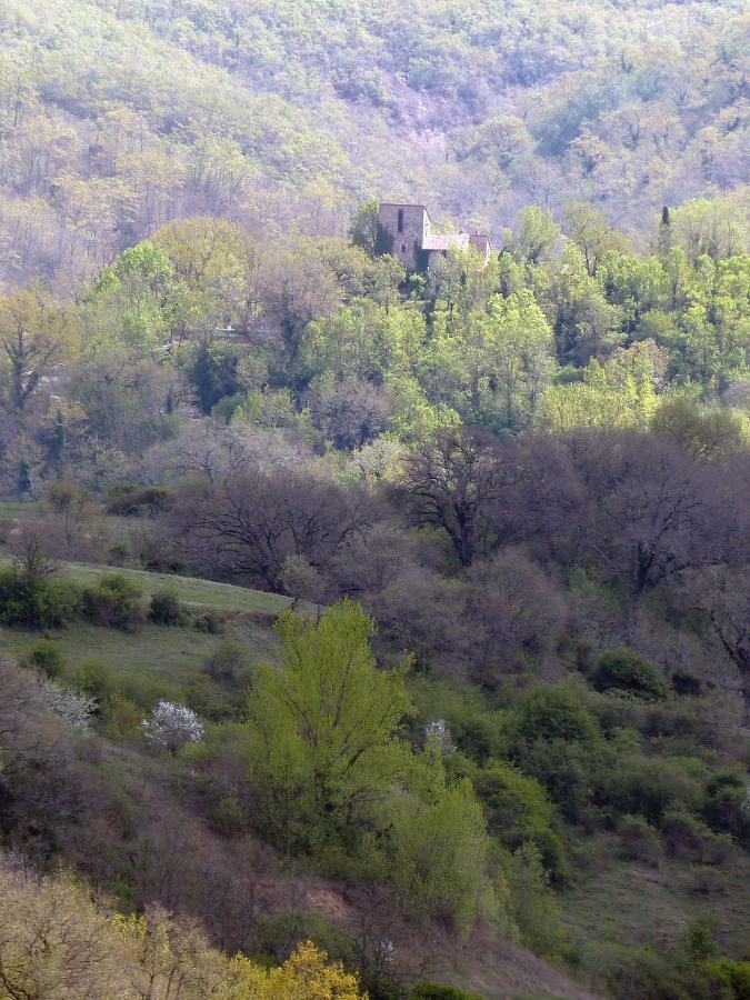 Torre Di Pornello Appartement Buitenkant foto